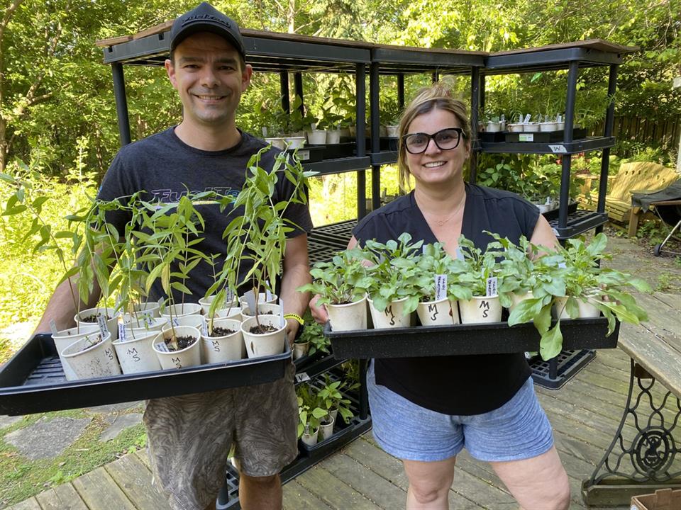 plants pick up time
